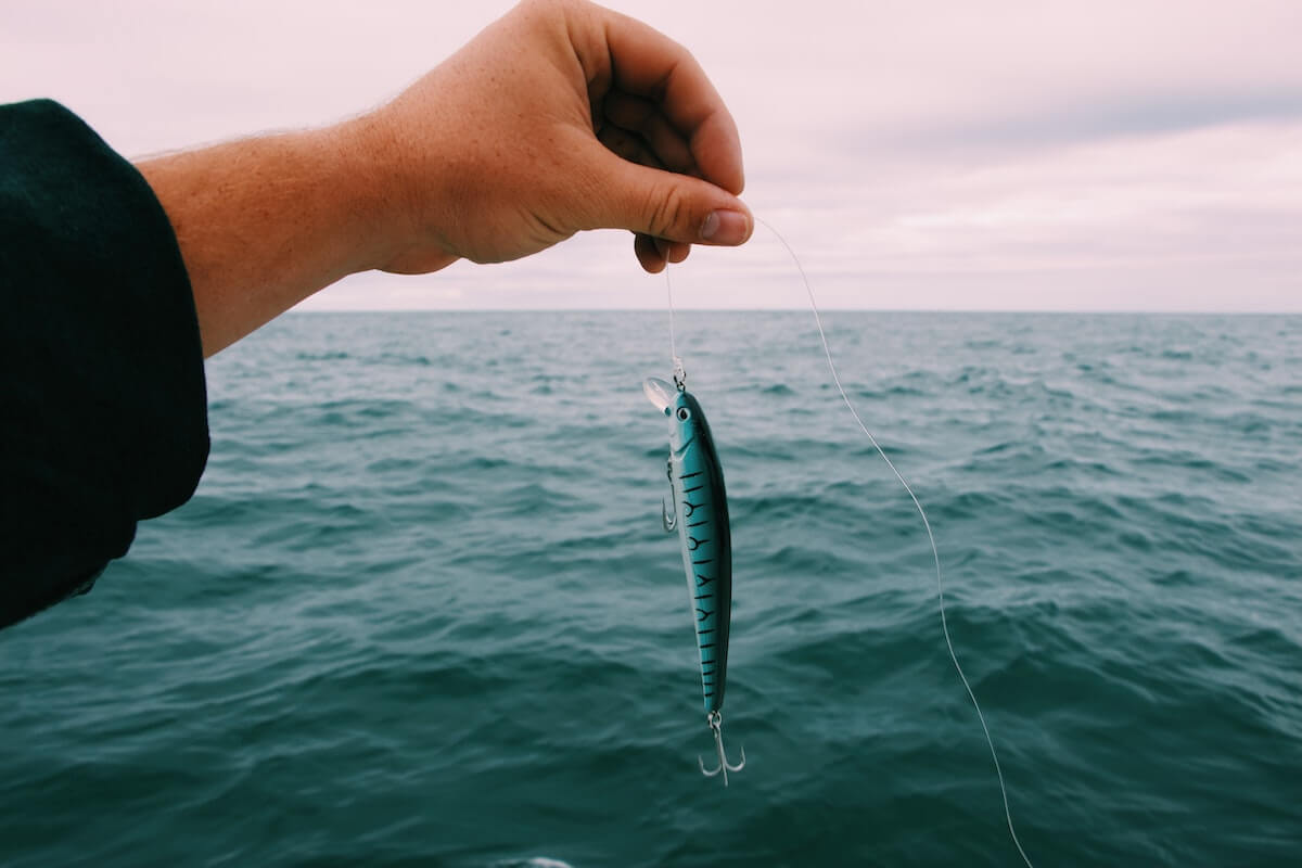 holding up fishing bait